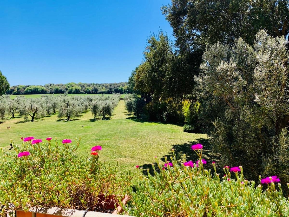 B&B Valle D'Oro Анседония Экстерьер фото